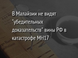 В Малайзии не видят "убедительных доказательств" вины РФ в катастрофе MH17