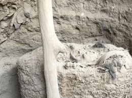 В Перу обнаружили 1000-летний "кокон" с мумией (фото)