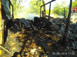 В Доманевском сгорело сено из-за детских шалостей с огнем