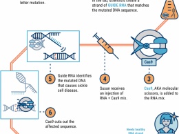 Первый опыт генной терапией с участием CRISPR-Cas9 отменен в США