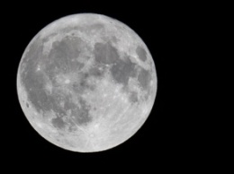 SpaceX отложила полет космических туристов к Луне