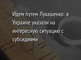 Идем путем Лукашенко: в Украине указали на интересную ситуацию с субсидиями