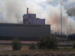 В Чернобыле горит самое гиблое место Зоны - Рыжий лес. Чем это угрожает Киеву