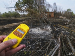 Распространение пожара в Чернобыльской зоне удалось приостановить - ГСЧС