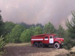 Лесной пожар в зоне ЧАЭС: на месте возгорания найдены факелы, полиция проверяет версию о поджоге