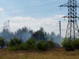 Ассоциация чернобыльских туроператоров информирует о пожаре в Рыжем лесу