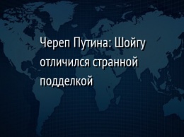 Череп Путина: Шойгу отличился странной подделкой