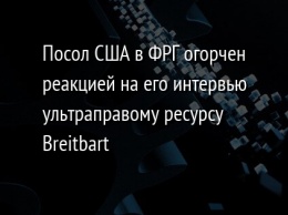 Посол США в ФРГ огорчен реакцией на его интервью ультраправому ресурсу Breitbart