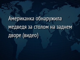 Американка обнаружила медведя за столом на заднем дворе (видео)