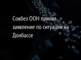 Совбез ООН принял заявление по ситуации на Донбассе