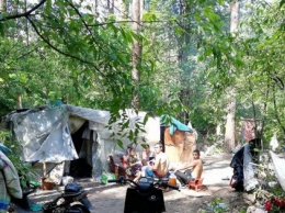 Киевляне жалуются на захват национального парка ромами