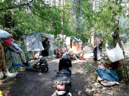 В киевском парке "Голосеевский" ромы разбили лагерь, Национальные дружины дали им 24 часа на выселение