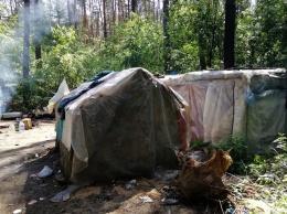 Полиция Киева открыла уголовное производство в отношении активистом, разгромивших табор ромов в Голосеевском парке