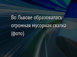 Во Львове образовалась огромная мусорная свалка (фото)