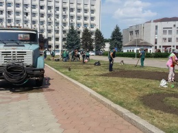 Одесские коммунальщики начали сажать летние цветы