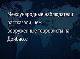 Международные наблюдатели рассказали, чем вооруженные террористы на Донбассе