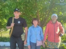 Две пенсионерки из Лисичанска заблудились в лесу