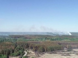 Спасатели потушили пожар в Чернобыльской зоне