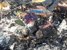 «Ненавижу мразей»: в Запорожье заживо сожгли четырех щенков, - ФОТО (+18)