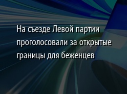 На съезде Левой партии проголосовали за открытые границы для беженцев