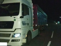 Почти 14 тыс. евро - штраф водителю фуры, перевозившему груз по маршруту Херсон - Краматорск