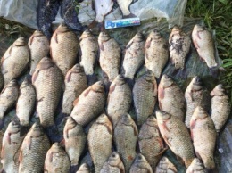 На Сумщине задержали рыбного браконьера