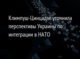 Климпуш-Цинцадзе уточнила перспективы Украины по интеграции в НАТО