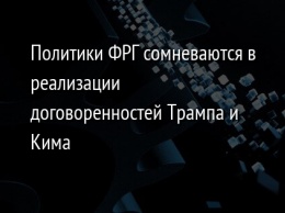 Политики ФРГ сомневаются в реализации договоренностей Трампа и Кима