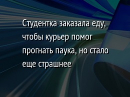 Студентка заказала еду, чтобы курьер помог прогнать паука, но стало еще страшнее