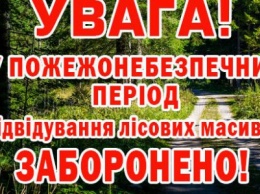 В Донецкой области введен запрет на посещение лесных массивов в период чрезвычайной пожарной опасности