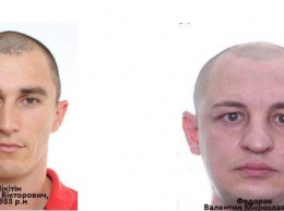 Суд заочно арестовал двух жителей Первомайска, совершивших разбойный налет на «ювелирку»