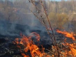 Ночью в Покровске в районе парка "Юбилейный" произошел пожар