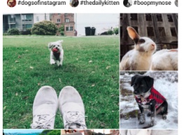 Прогнозы развития Instagram на 2018 год