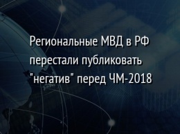 Региональные МВД в РФ перестали публиковать "негатив" перед ЧМ-2018