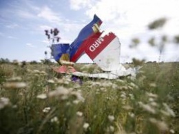 Олег Пономарь о сбитом "Боинге" MH17: "Трибунал в Гааге приближается"