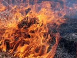 Днепропетровская область находится в тройке лидеров по количеству пожаров в экосистемах