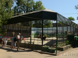 Семья медведей Одесского зоопарка обрела новое жилье с бассейном