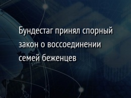 Бундестаг принял спорный закон о воссоединении семей беженцев