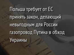 Польша требует от ЕС принять закон, делающий невыгодным для России газопровод Путина в обход Украины