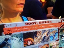 Свидетелям зверств угрожают: одесские зоозащитники подают на полицию в суд