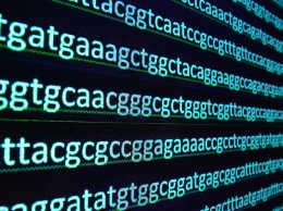 Выборка из ДНК-кода может быть свободной: исследование