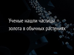 Ученые нашли частицы золота в обычных растениях