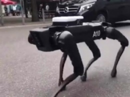 Boston Dynamics выгуляли робота-собаку в Ганновере