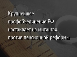 Крупнейшее профобъединение РФ настаивает на митингах против пенсионной реформы