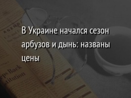 В Украине начался сезон арбузов и дынь: названы цены