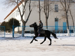 На Камчатке депутата, прискакавшего верхом на сессию, вызвали в полицию