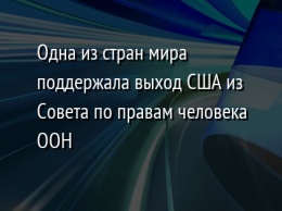 Одна из стран мира поддержала выход США из Совета по правам человека ООН