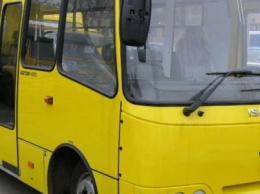 В Запорожье на маршрутах начнут работать большие автобусы: в мэрии определили новых перевозчиков