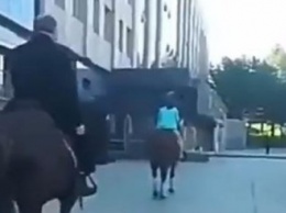 В России депутат прискакал на работу на коне (фото)