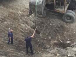 На территории одесской школы нашли авиабомбу: фото очевидца, как доставали огромный снаряд, - ФОТО
